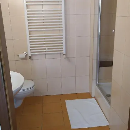 بيت ضيافة Zawoja1560 Przy Aptece 3*